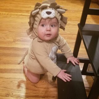 #asheville lion sighting puts halloween plans in jeopardy.