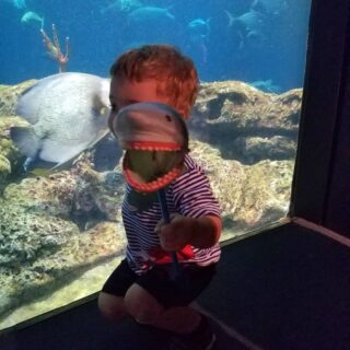 Gavin. Aquarium. Head exploded from the excitement.
